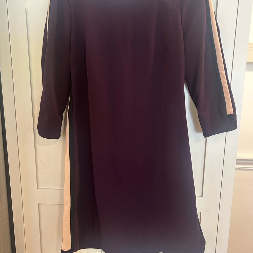 Vince Camuto Purple (Plum) Dress with Cream Stripes